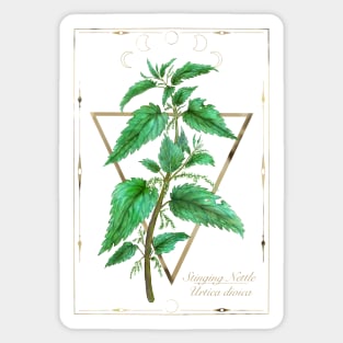 Stinging Nettle. Witchy herbs Sticker